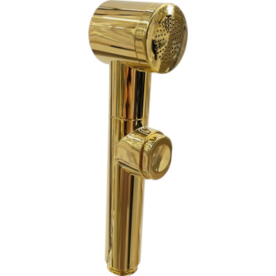 Aida DS005ORO Гигиенический душ, золото