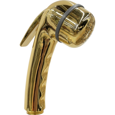 Asia DS006ORO Гигиенический душ, золото